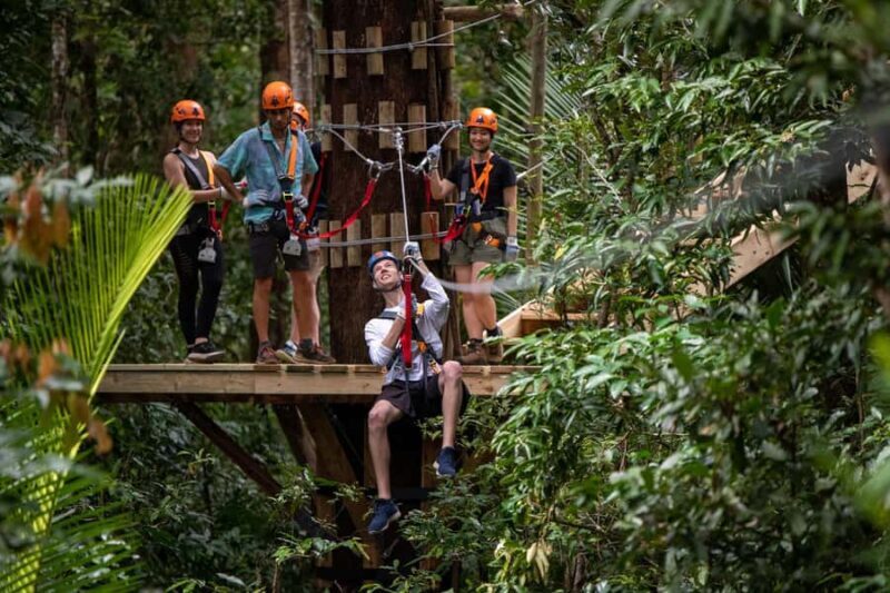Port Douglas: Daintree Rainforest Canopy Ziplining Tour - Final Words