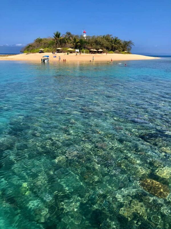 Port Douglas: Half-Day Low Island and Lagoon Snorkeling Tour - Key Points