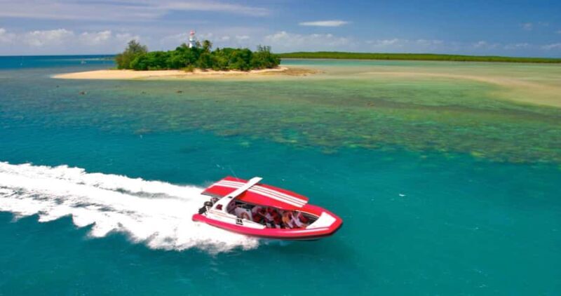 Port Douglas: Half-Day Low Island and Lagoon Snorkeling Tour - What to Expect on This Tour