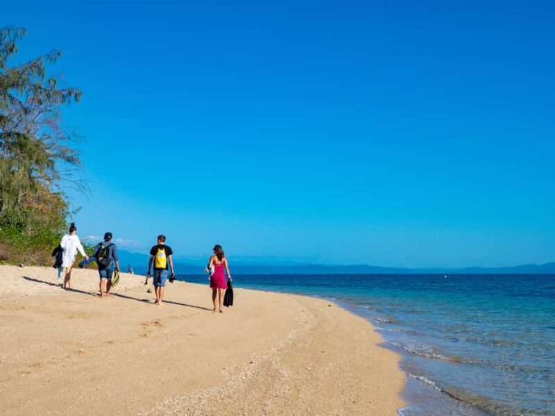 Port Douglas: Low Isles Glass Bottom Boat & Snorkeling Tour - Key Points