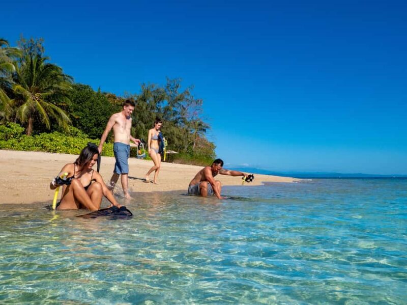 Port Douglas: Low Isles Glass Bottom Boat & Snorkeling Tour - Snorkeling and Marine Life