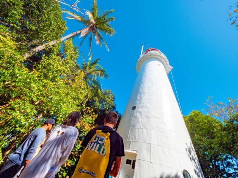 Port Douglas: Low Isles Glass Bottom Boat & Snorkeling Tour - The Glass Bottom Boat Experience
