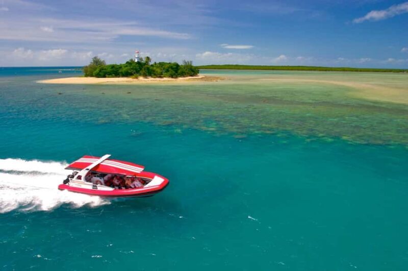 Port Douglas: Low Isles Reef Snorkeling Tour - An Honest Look at the Snorkeling Tour