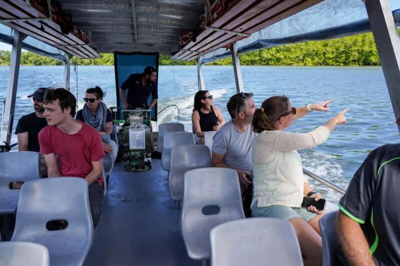 Port Douglas: Morning Daintree Tour w/ Wildlife Cruise - What to Expect from the Tour