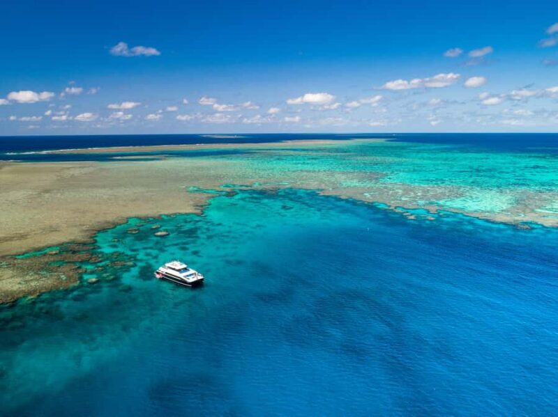 Port Douglas: Outer Barrier Reef Snorkel and Dive Options - Why This Tour Stands Out