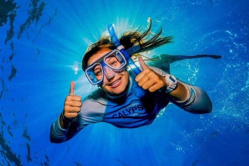 Port Douglas: Outer Barrier Reef Snorkel and Dive Options - Practical Tips for Your Trip