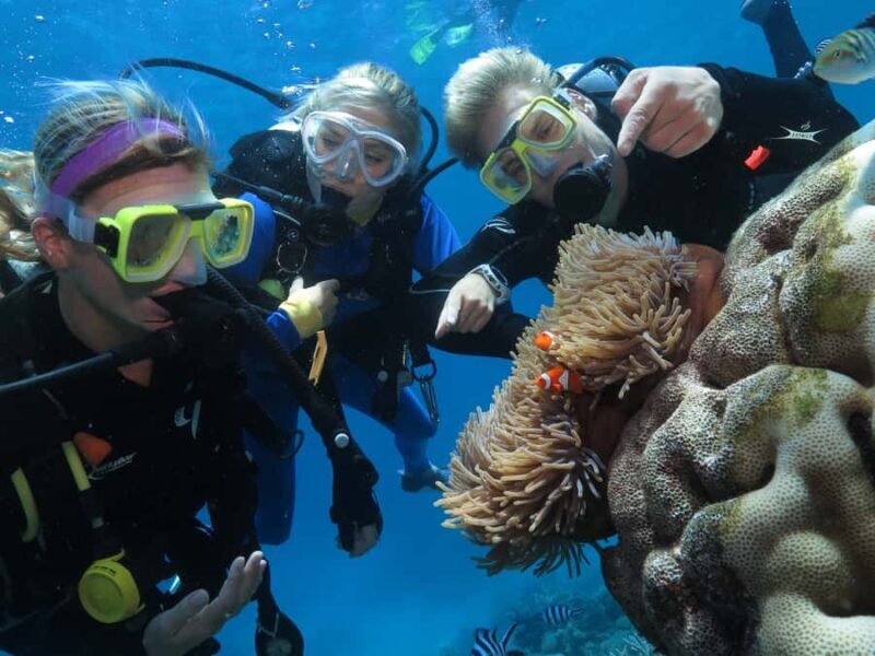 Port Douglas: Quicksilver Outer Barrier Reef Full-Day Cruise - The Sum Up