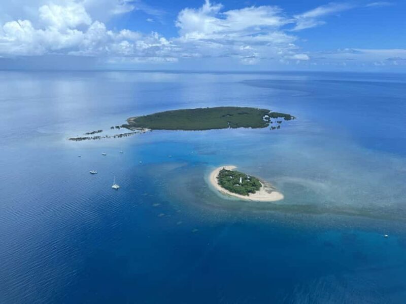 Port Douglas: Reef & Low Isles Cruise on Luxury Catamaran - Who Is This Tour Best For?