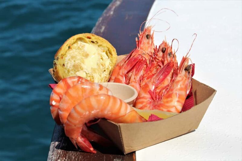 Port Douglas: Shaolin Seafood Lunch Sail, with Fresh Prawns - Who Should Consider This Tour?