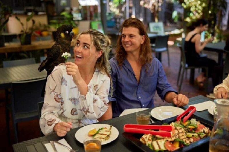 Port Douglas: Wildlife Habitat Entrance Ticket - Key Points