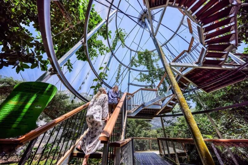 Port Douglas: Wildlife Habitat Entrance Ticket - What’s Actually Inside the Wildlife Habitat?