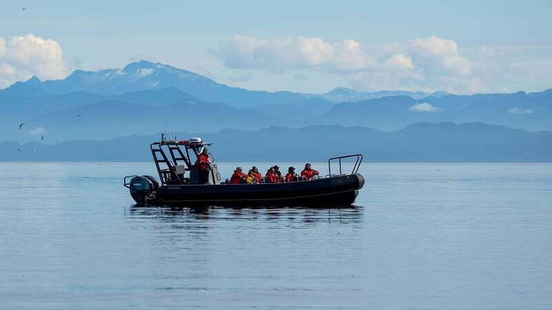 Port Hardy: Sea Otter and Whale Watching - Final Thoughts