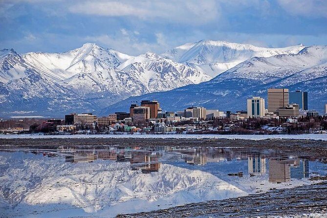 Port Homer Day Tour Wilderness, Wildlife and Beach Experience - The Practical Details