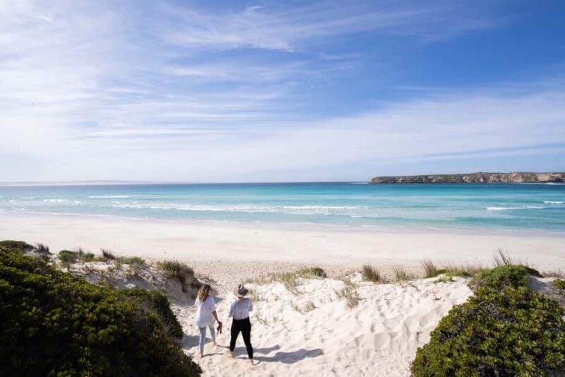 Port Lincoln: Coffin Bay Seafood, Wine, and Nature Day Trip - What to Expect on the Tour