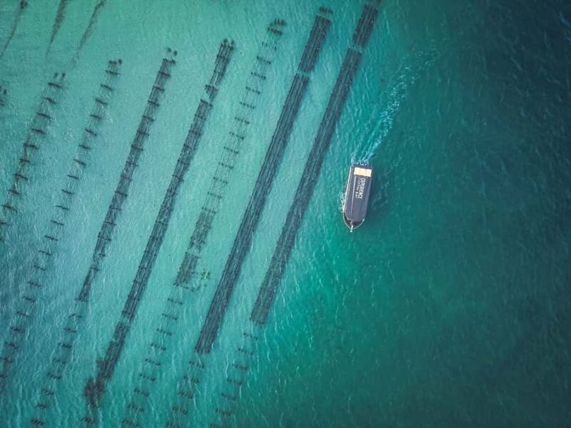 Port Lincoln: Coffin Bay Seafood, Wine, and Nature Day Trip - Potential Drawbacks or Considerations