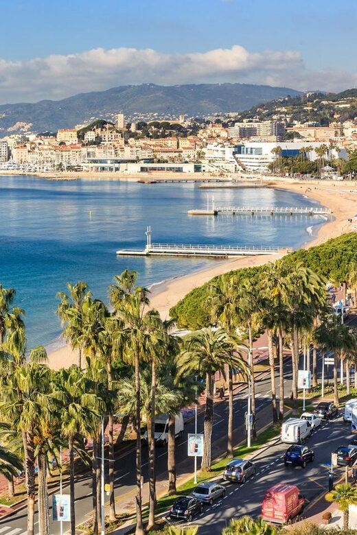 Port of Cannes : Personalized private tour - A Deep Dive into the Experience