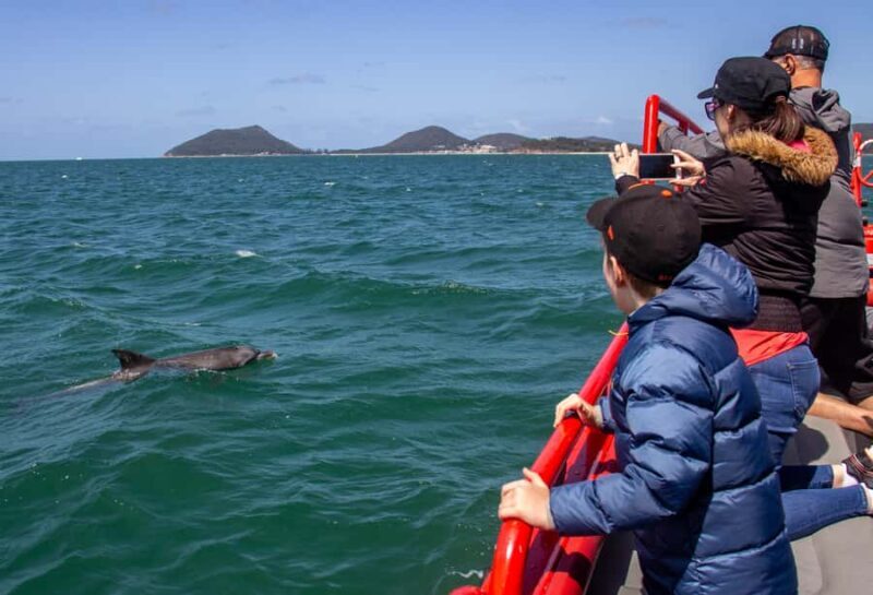 Port Stephens: 1hr Dolphin Watch Express - Practical Details and Tips