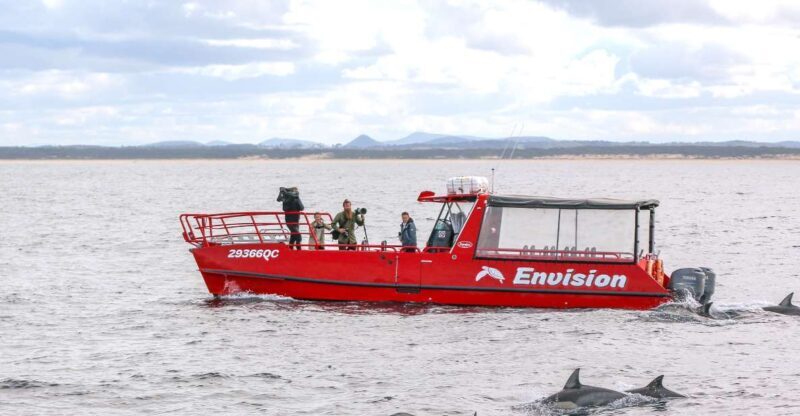 Port Stephens: 1hr Dolphin Watch Express - Who Will Love This Tour?