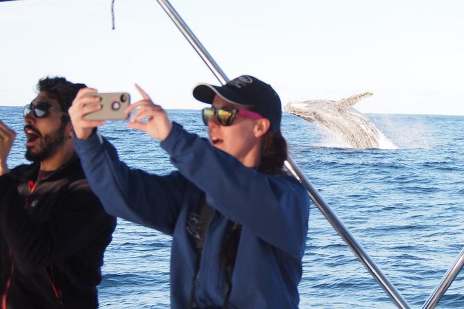 Port Stephens 3 Hour Whale and Dolphin Watch Cruise - The Itinerary: What Does the Tour Cover?