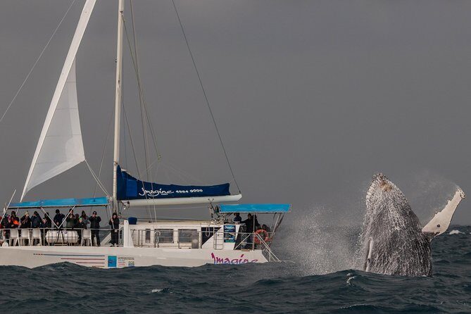 Port Stephens 3 Hour Whale and Dolphin Watch Cruise - FAQ: Your Questions Answered