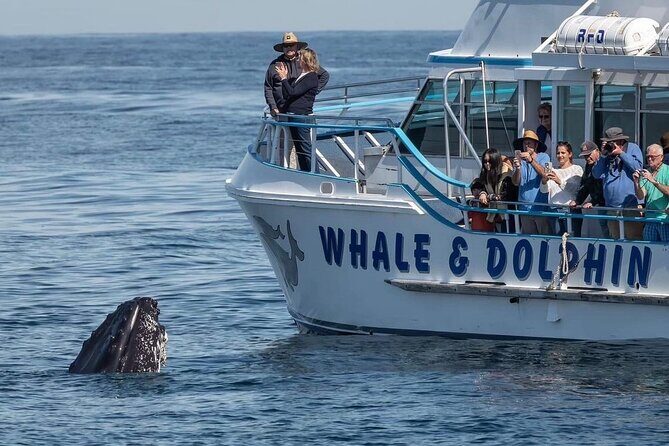 Port Stephens, departing Newcastle - Whales, hike & sand dunes! - FAQ Section