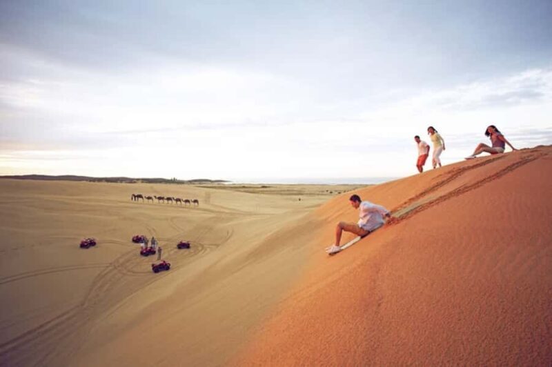 Port Stephens: Dolphin Cruise, Lunch, Koalas & Sandboarding - An Introduction to the Tour Experience