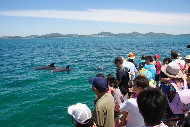 Port Stephens: Dolphin Discovery Cruise - Frequently Asked Questions
