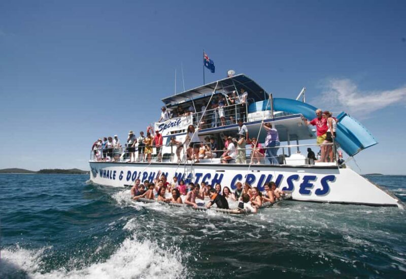 Port Stephens: Dolphin Watch Cruise with Swimming and Slides - What Is the Port Stephens Dolphin Watch Cruise?