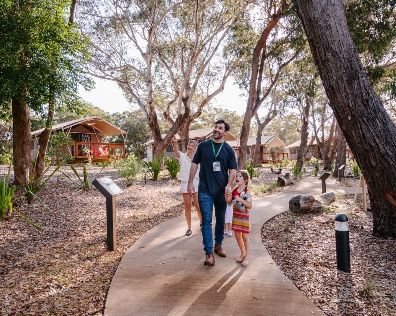 Port Stephens: Koala Sanctuary General Admission Ticket - What Do Visitors Say?