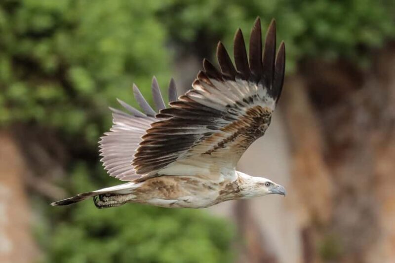 Port Stephens: Port Stephens Island Snorkel Adventure Cruise - The Value of the Experience: Is It Worth It?