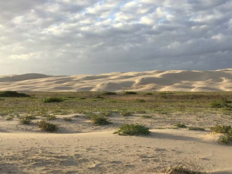 Port Stephens: Stockton Sand Dunes 4WD Tag-Along Tour - Key Points