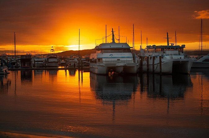 Port Stephens: Sunset on the Bay Cruise - Summary