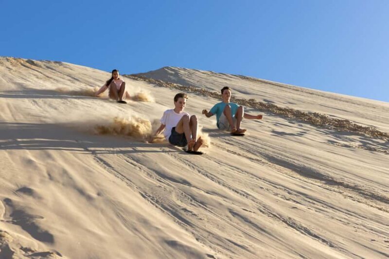 Port Stephens: Unlimited Sandboarding & 4WD Sand Dune Tour - Key Points