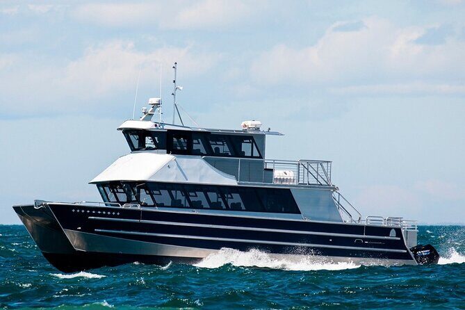 Port Townsend Wildlife Watching Cruise - The Experience in Depth