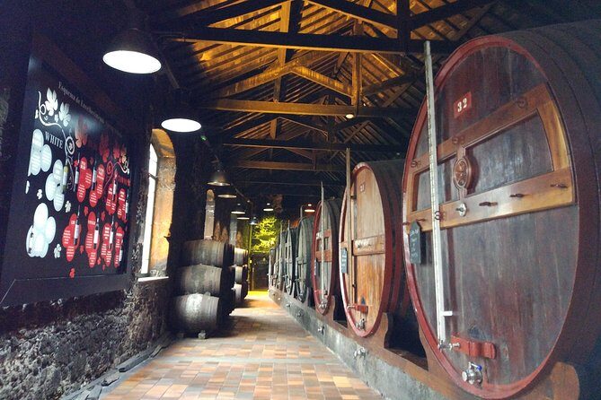 Port Wine Lodges Tour Including 7 Port Wine Tastings (English) - The Numbers: Understanding the Value