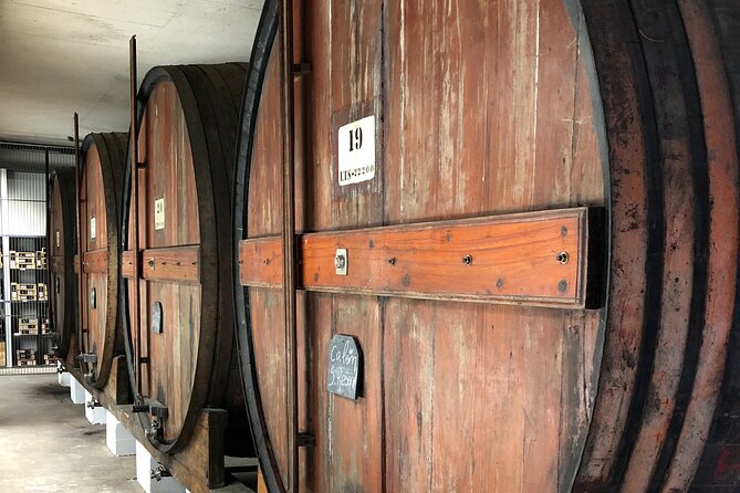 Port Wine Tour | 3 Cellars | 7 Tastings | 12 Participants Maximum - Weather and Flexibility