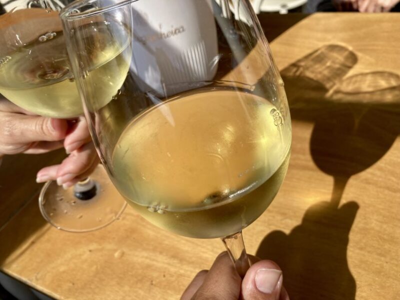 Port wine & wine walking tour with culture - max 8 pax - Gaia and the Port Tasting