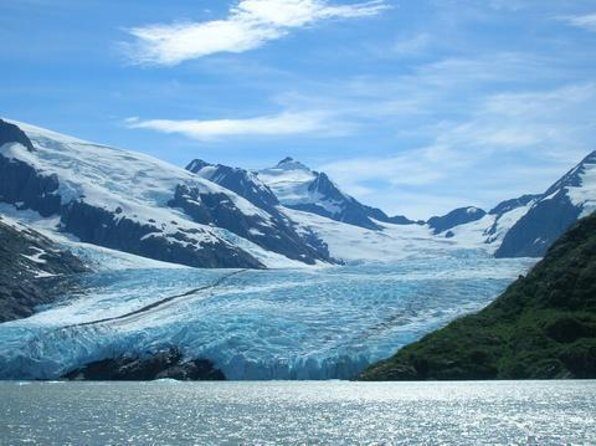 Portage Glacier Cruise and Wildlife Explorer Tour - An In-Depth Look at What to Expect