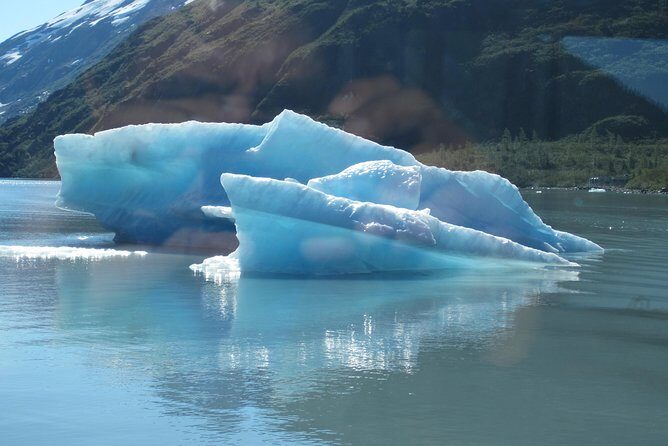 Portage Glacier Cruise and Wildlife Explorer Tour - Who Will Love This Experience?