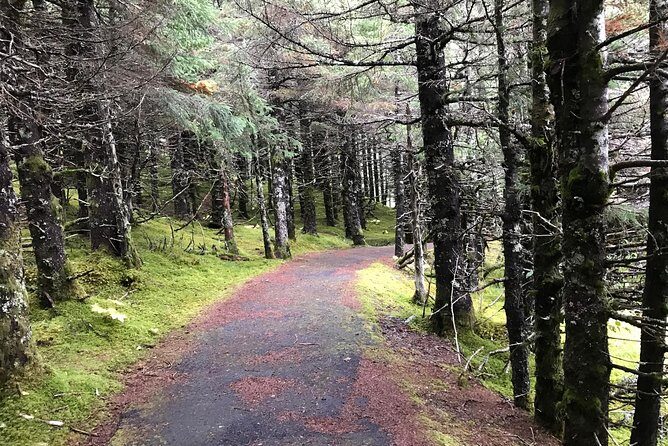 Portage Glacier Cruise and Wildlife Explorer Tour - FAQ