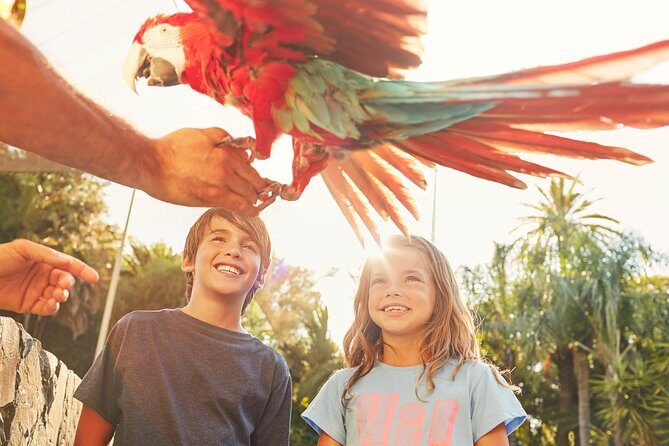 PortAventura Park Day Trip from Barcelona - A Practical Look at the PortAventura Park Day Trip from Barcelona