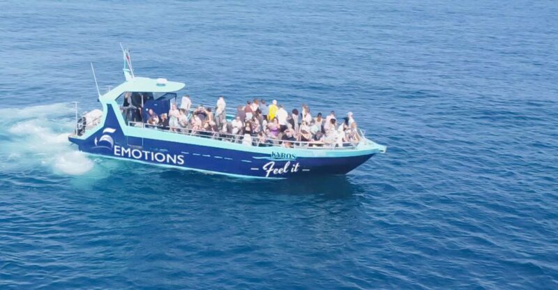 Portimão: 2.5 hours Dolphins Watching Biologist on Board - The Itinerary in Detail