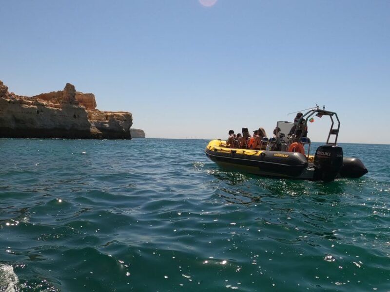 Portimão: 2-Hour Dolphin Watching Boat Tour - What to Expect on the Tour