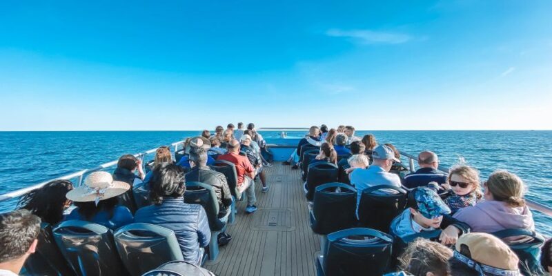 Portimão: Benagil Caves & Dolphins Watching with Biologist - Final Thoughts: Is It Worth It?