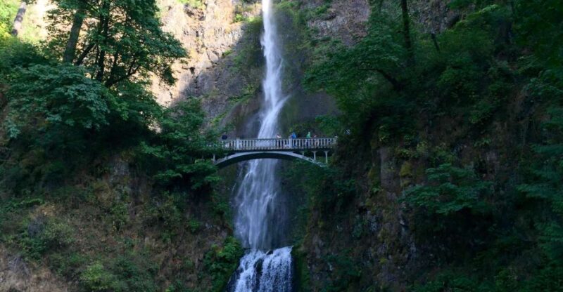 Portland: Columbia River Gorge 3-Hour Small Group Tour - Authentic Traveler Insights