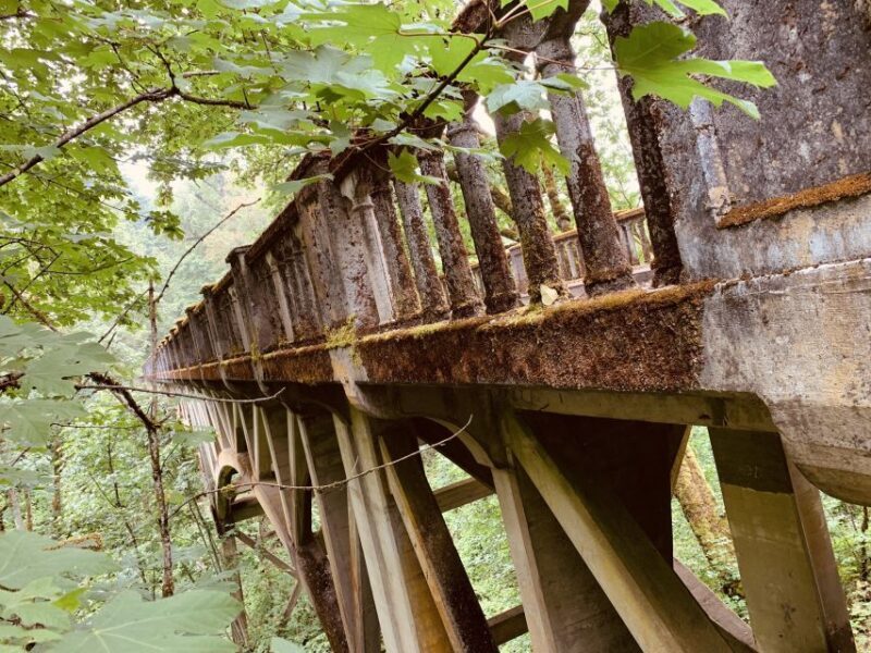 Portland: Columbia River Gorge Waterfalls Morning Tour - Final Thoughts