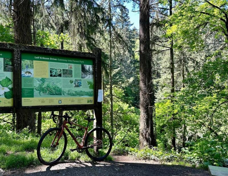 Portland: Forest Park Bike or E-Bike Tour - Practical Details and Value