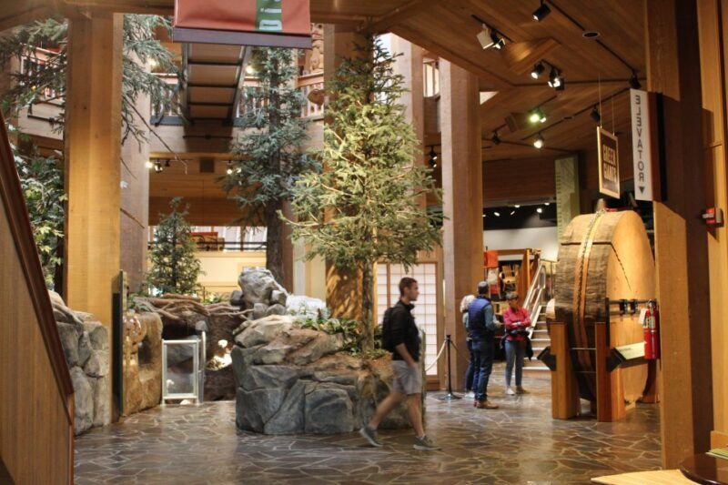 Portland: Morning City Highlights Tour - What to Expect from the Portland: Morning City Highlights Tour