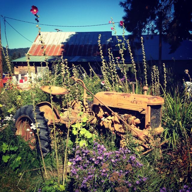 Portland: Mt. Hood Day Tour - FAQ