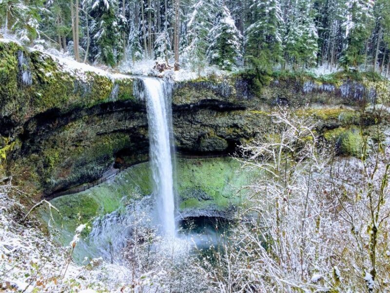 Portland: Silver Falls Hike - Exploring Silver Falls State Park: What You Can Expect